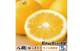 八朔(はっさく)約5kg サイズおまかせ　紀伊国屋文左衛門本舗　※2024年1月下旬～4月上旬頃に発送予定【ntbt410】