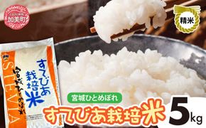 精米 令和6年度産 すてびあ栽培米 宮城県産 ひとめぼれ 5kg ｜ 菅原精米工業 宮城県 加美町 sw00001-r601-5kg ｜ ステビア すてびあ ヒトメボレ こめ お米 R6