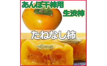 【県認定エコファーマー】あんぽ柿用生渋柿（平たねなし柿） 約4.5～5kg-AP【art003】
