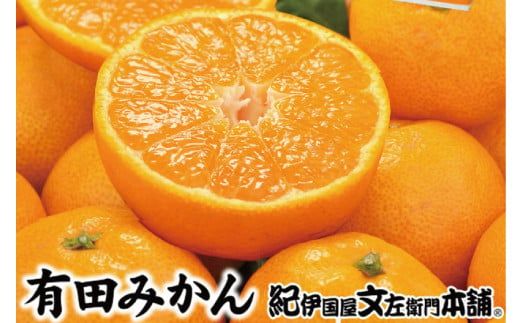 ブランド有田みかん【M】秀品10kg／産地直送／薄皮で甘い美味しい和歌山県産／紀伊国屋文左衛門本舗　※2024年11月上旬～2025年1月中旬ごろ発送（お届け日指定不可）【ntbt142B】