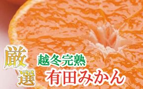 厳選　越冬完熟みかん5kg+150g（傷み補償分）【ハウスみかん】【光センサー選別】＜1月中旬より順次発送予定＞【ikd026B】