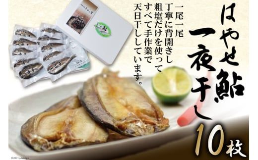 ＜宮城鮎工房＞宮城県加美町産鮎の極み　厳選「はやせ鮎」一夜干し　10枚 [宮城鮎工房 宮城県 加美町 44581308] 