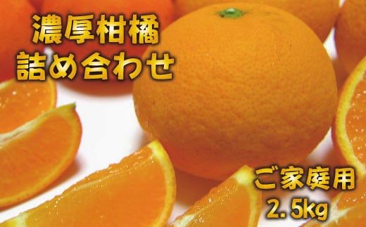 【先行予約】有田育ちの濃厚柑橘詰め合わせセット(ご家庭用)　約2.5kg【１月中旬～4月下旬頃順次発送】【ard033A】