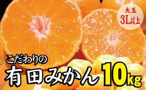 【農家直送】有田みかん 約10kg  大玉3L以上 有機質肥料100% ※2024年12月初旬～12月末に順次発送(お届け日指定不可)【nuk139E】