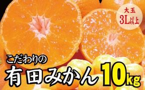 【農家直送】有田みかん 約10kg  大玉3L以上 有機質肥料100% ※2024年12月初旬～1月中旬に順次発送(お届け日指定不可)【nuk139C】