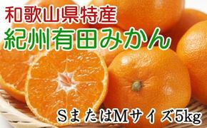 [秀品]和歌山有田みかん　5kg(SサイズまたはMサイズのいずれか) ※2024年11月中旬～1月中旬頃順次発送予定（お届け日指定不可）【tec833】