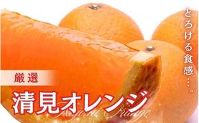 ＜2月より発送＞厳選 清見オレンジ4kg+120g（傷み補償分）【光センサー食頃出荷】【樹上完熟きよみオレンジ・清見タンゴール・清美】 ※北海道・沖縄・離島への配送不可【ikd197】