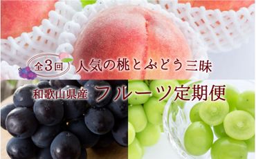 【3か月定期便】【数量限定】和歌山産フルーツ定期便！人気の桃とぶどう三昧　桃 ピオーネ シャインマスカット【tkb152】