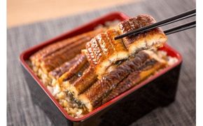 【国産　大型サイズ】ふっくら柔らか国産うなぎ蒲焼き　約２人前　化粧箱入 【uot714A】