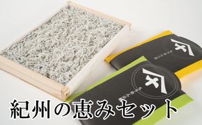 紀州の恵みセット【mef004-1】