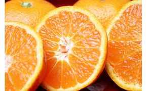 【先行予約受付　訳あり】田村みかん　10kg　※2026年11月下旬～2027年1月下旬頃に順次発送予定(お届け日指定不可)【uot717】