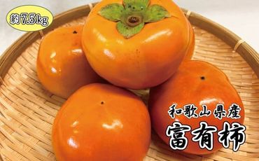 和歌山秋の味覚　富有柿　約7.5kg　※2024年11月上旬頃～11月下旬頃発送（お届け日指定不可）【uot702】