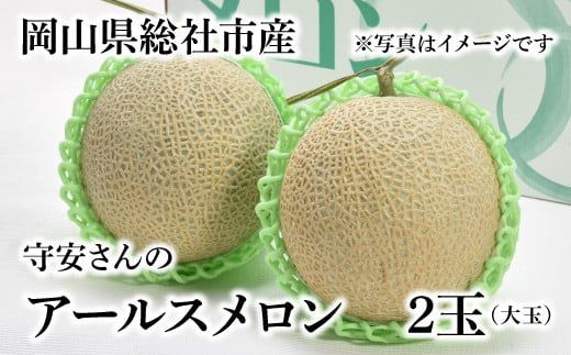 「守安さんのアールスメロン」2玉（大玉）岡山県総社市産【2025年産先行予約】25-018-001