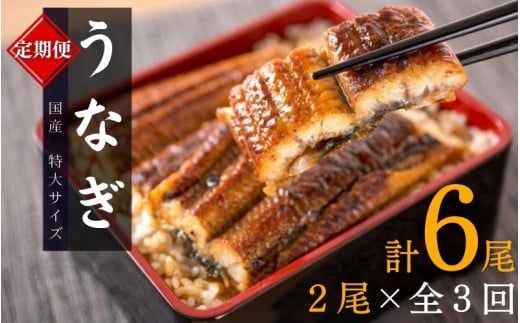 [全3回定期便]大型サイズ ふっくら柔らか 国産うなぎ蒲焼き 2尾×3回 計6尾 約1020g[tkb309]