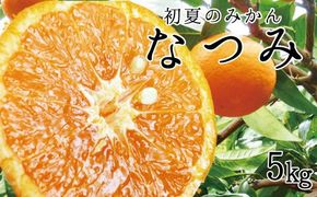 初夏のみかん　なつみ5kg【予約】※2025年4月中旬〜2025年4月下旬頃に順次発送予定(お届け日指定不可) みかん ミカン 蜜柑 フルーツ【uot501-2】