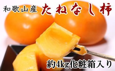 【秋の味覚】和歌山産のたねなし柿2L～4Lサイズ約4kg（化粧箱入り）※2024年10月上旬から11月上旬順次発送