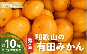 【1月発送】秀品 有田みかん 和歌山県産 S～Lサイズ 大きさお任せ 10kg / みかん フルーツ 果物 くだもの 有田みかん 蜜柑 柑橘【ktn003A-1】