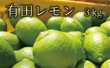 【国産】紀州和歌山　有田レモン 約3kg【ard032A】