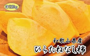 【ご家庭用わけあり】和歌山秋の味覚　平核無柿（ひらたねなしがき） 約7.5kg　※2025年10月上旬頃～2025年10月末頃に順次発送（お届け日指定不可）【uot718A】