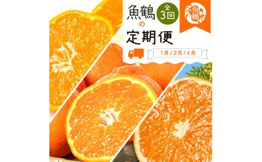 ya̎RV{szyS3zIBa̎RY{̊k(݂Esm΁EIW)ytkb384z