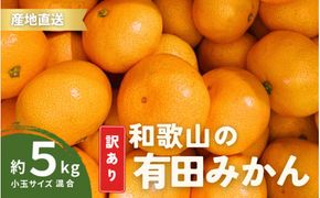 家庭用 有田みかん 和歌山 訳あり わけあり 小玉(2S,3Sサイズ混合) 5kg 【9月下旬～1月下旬頃に順次発送予定】/ みかん フルーツ 果物 くだもの 有田みかん 蜜柑 柑橘【ktn010B】