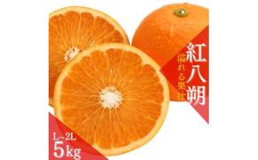 【先行予約】【数量わずか】あふれる果汁！ 希少な紅はっさく 秀品 5kg L～２L 2025年1月初旬～2025年3月末頃に順次発送予定（お届け日指定不可）/ ハッサク 八朔 紅八朔 紅はっさく フル【kgr006】