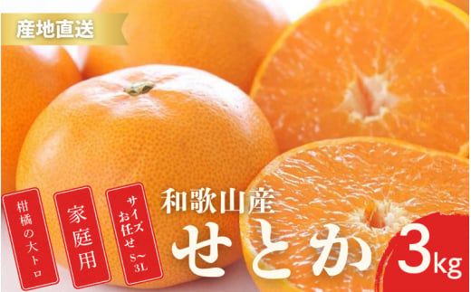 【先行予約】家庭用 せとか 和歌山 有田 S～4Lサイズ 大きさお任せ 3kg【2月上旬～3月下旬頃に順次発送】/ みかん フルーツ 果物 くだもの 蜜柑 柑橘【ktn014A】