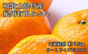 和歌山有田みかん7.5kg ご家庭用 (S～Lサイズおまかせ ) 【2022年11月中旬より発送】【tec884】