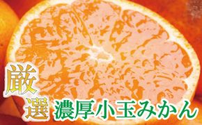 厳選　小玉な有田みかん7.5kg+225g（傷み補償分）【光センサー選果】＜11月上旬より順次発送予定＞【ikd023-2B】