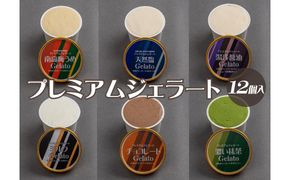 プレミアムジェラート 詰め合わせセット（6種類×2個） アイスクリームセット 100mlカップ ゆあさジェラートラボラトリー【ntbt701】