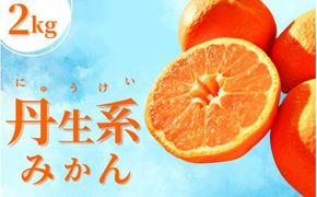 【L～3Lサイズおまかせ】※秀優混合 丹生系みかん 2kg ※箱込み【2026年2月初旬から2月下旬頃までに順次出荷】＜味好農園＞/ 丹生系 にゅうけい みかん 柑橘 果物 フルーツ ミカン 訳あり 