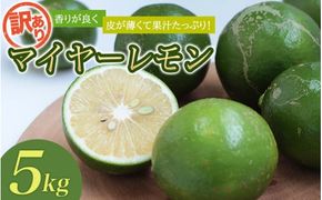 はぎファームの訳ありマイヤーレモン 5kg 【2025年10月～2026年1月下旬の期間で順次発送】 / レモン 国産 マイヤーレモン 数量限定  訳あり【hgf004】