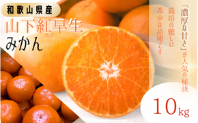 【先行予約】秀品 「紅娘」 温州 みかん 山下紅早生 10kg 【S~2Lサイズおまかせ】【2026年11月下旬～2026年12月中旬までに順次発送】＜味好農園＞ /温州みかん みかん 蜜柑 柑橘 山下早生 早生 秀品 紅早生 フルーツ 果物 くだもの 希少【agy004-beni-10】