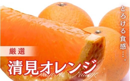 ＜2月より発送＞厳選 清見オレンジ 3.5kg+105g（傷み補償分）【光センサー食頃出荷】【樹上完熟きよみオレンジ・清見タンゴール・清美】 ※北海道・沖縄・離島への配送不可【ikd197A】