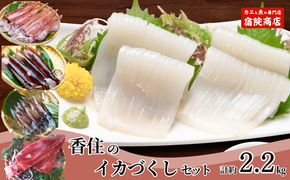 先行予約【兵庫県香住産 香住のイカづくし 合計2.2kgセット 冷凍】令和8年6月下旬以降順次発送予定 国産 香住 山陰 いか 詰め合わせ 鮮度抜群 急速冷凍 産地直送 おすすめ 兵庫県 香美町 宿院商店 33-08