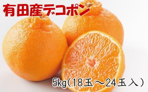 【お味濃厚】紀州有田産のデコポン約5kg(18玉～24玉入り・青秀以上) ※2025年1月中旬～3月中旬頃順次発送【tec810A】