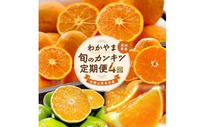 和歌山旬のカンキツ定期便【S】全4回（配送日時指定不可）※北海道・沖縄・離島への配送不可 / 定期便 フルーツ みかん 清見オレンジ 青切りみかん カラマンダリン 4回 【ard-tkb902A】