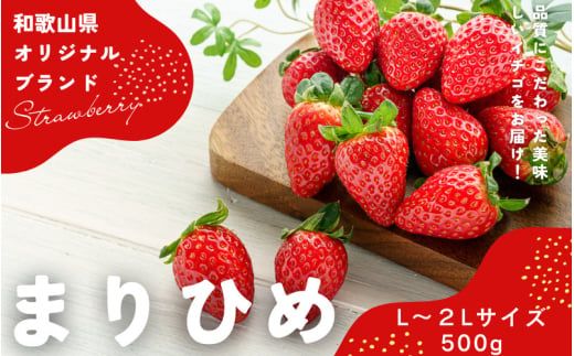 【先行予約】まりひめ いちご 12粒～15粒入り×2パック（500g）2026年1月中旬～2026年3月中旬頃に順次発送予定（お届け日指定不可）【kgr007A】