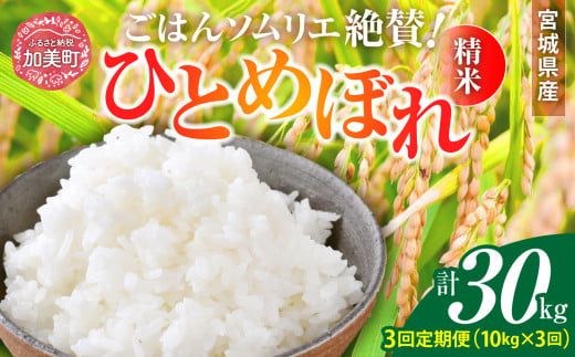 【3回定期便】 精米 令和7年産 宮城県産ひとめぼれ 計30kg (10kg×3回) [菅原商店 宮城県 加美町 ]   |sg-hb10-t3-r7