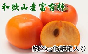 ［厳選・産直］和歌山産の富有柿約2kg（化粧箱入り）（2L～4Lサイズ）【2026年発送】【tec406B】