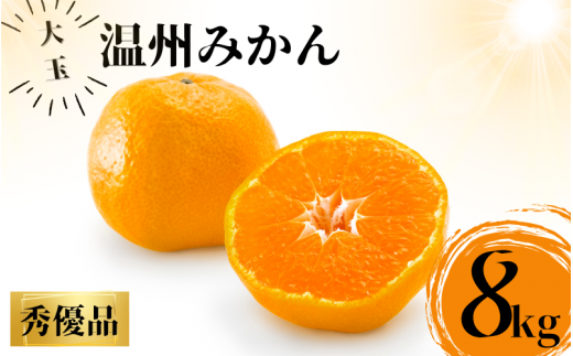 [先行予約]秀優品 大玉 温州みかん 8kg[2L〜3Lサイズ][2025年12月から2026年2月下旬頃に順次発送][味好農園]/ 温州 蜜柑 みかん 柑橘 果物 フルーツ ミカン [agy011A