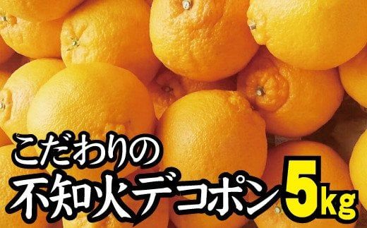 ya̎RV{sz_ZT[Iʁ^ y_ƒz̃fR|sm 5kg  L@엿100%@2026N2{菇\i͂wsjynuk111Cz