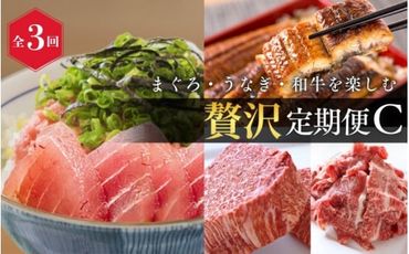 [全3回]まぐろ・うなぎ・和牛を楽しむ贅沢定期便C/ 鮪 マグロ 刺身 たたき 鰻 ウナギ 蒲焼き 熊野牛 肉 牛肉 和牛 黒毛和牛 ヒレ シャトーブリアン ステーキ 赤身 こま切れ [tkb388]