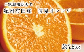 【ご家庭用訳アリ】紀州有田産清見オレンジ　7.5kg 	※2025年3月下旬〜2025年4月中旬頃に順次発送予定(お届け日指定不可)【uot730】