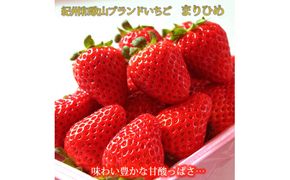 【来シーズン先行予約】紀州和歌山ブランドいちご「まりひめ」約２８０ｇ×２Ｐ　※2026年1月上旬頃～2026年3月上旬頃順次発送予定（お届け日指定不可）【uot759】