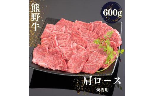 ya̎RnzF싍 [X ēp 600gymtf422Az