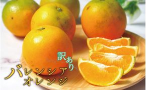 【国産　訳あり】希少　バレンシアオレンジ　7kg【ご家庭用】　※2026年6月下旬頃～7月上旬頃順次発送予定【uot712】