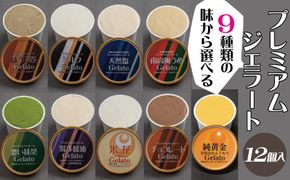 プレミアムジェラート 12個セット アイスクリームセット＜9種類の味から選べる！＞ 100mlカップ ゆあさジェラートラボラトリー【ntbt700】