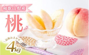 [先行予約受付]和歌山県産の美味しい桃 約4kg (10〜15玉入り)[2024年6月中旬頃〜8月中旬頃順次発送予定] 和歌山 もも モモ 桃 ギフト 贈り物 果物[mat100A]
