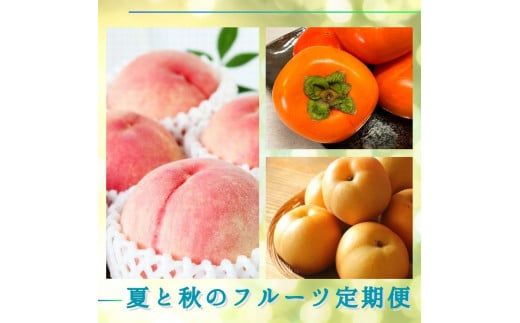 ya̎RV{szyS3zĂƏH̃t[c (EEЂ炽˂Ȃ`) ytkb372z